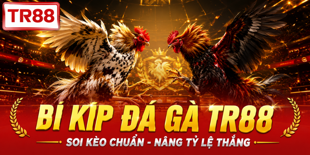 Bí kíp đá gà TR88