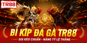 Bí kíp đá gà TR88
