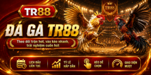 Đá gà TR88