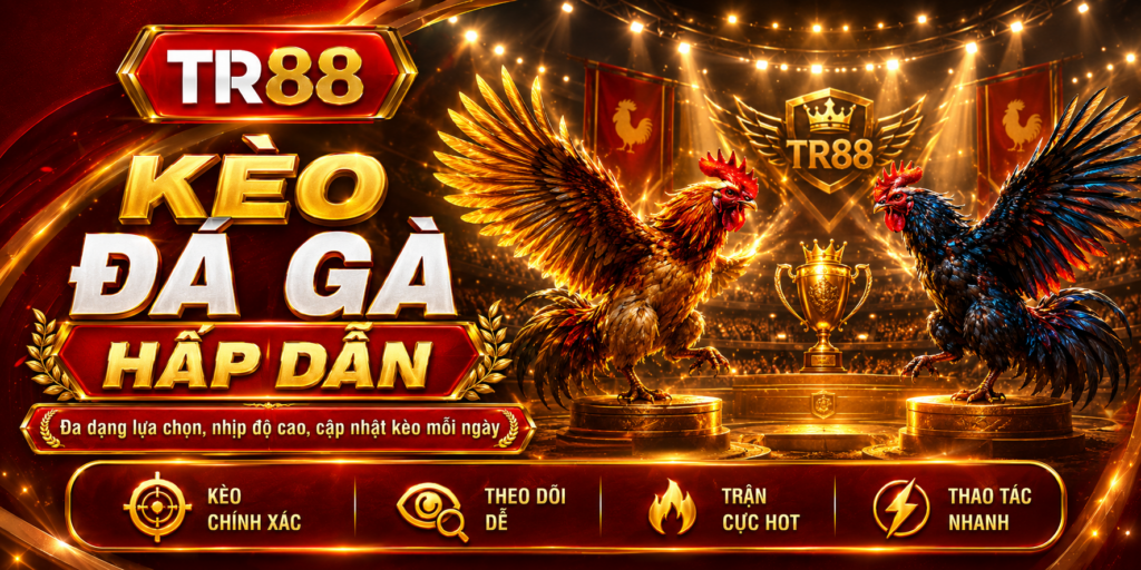 Chiến Thuật Chơi Đá Gà – TR88 Tiết Lộ Bí Quyết Đỉnh Cao 4 Kèo đá gà TR88