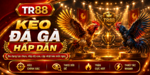 Kèo đá gà TR88